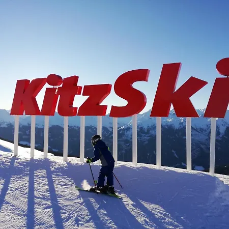 Διαμέρισμα Steger 2 Mittersill