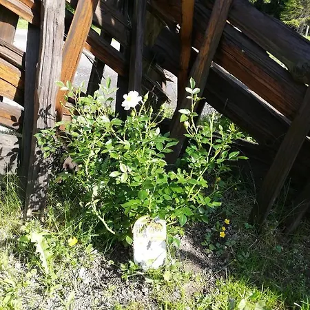 Steger 2 Appartamento