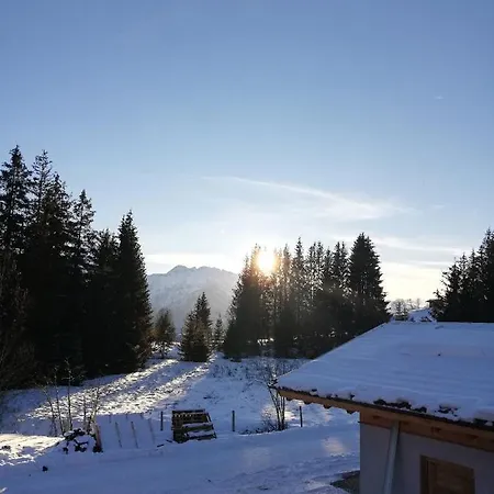 Steger 2 미테르질