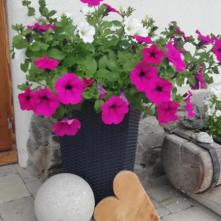 Appartement Steger 2 Mittersill