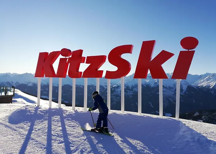 Apartamento Steger 2 Mittersill