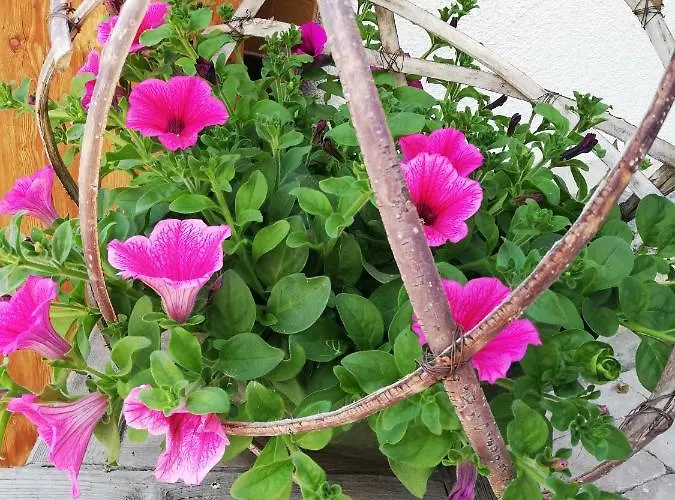 Apartamento Steger 2 *