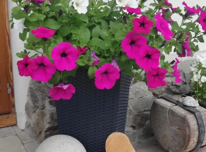 Appartement Steger 2 Mittersill